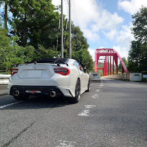 86 ZN6