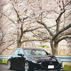 MAZDA3 BP8P