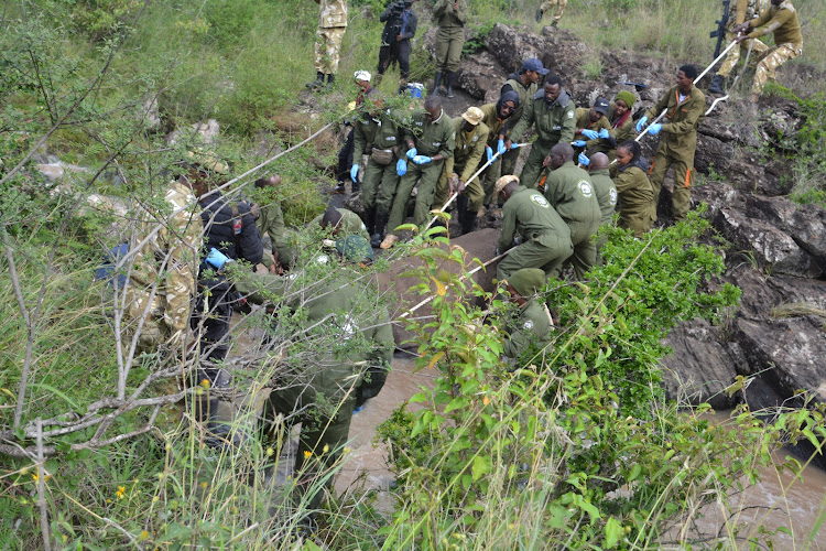 Kenya Wildlife Service Veterinary and Capture Rangers rescuing a black Rhino from a river at the Nairobi National Park on January 16, 2024.