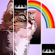 Download Kitty Rainbow Piano Tiles For PC Windows and Mac 1.0.0