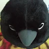 ユーザー