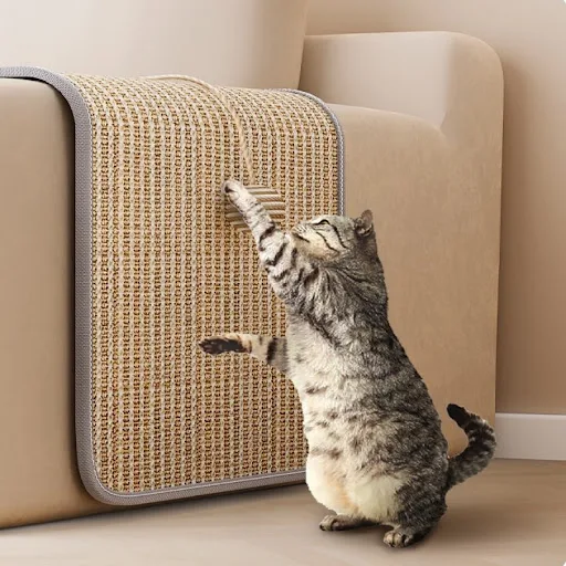 images slider number - 4