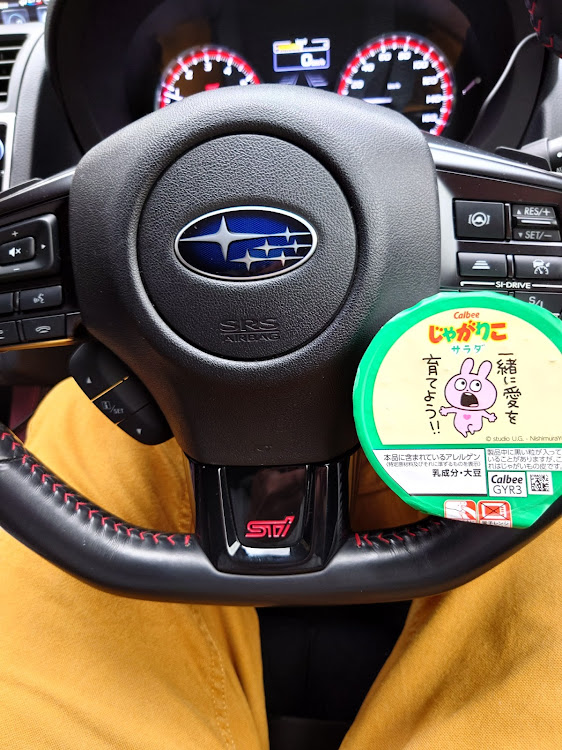 レヴォーグのドライブ・大渋滞・けど癒やされた・日光・奥日光に関するカスタム事例の投稿画像29枚目
