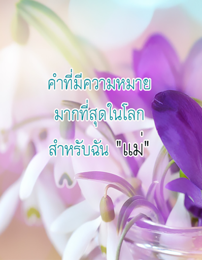 คำคม พ่อแม่ คิดถึงพ่อแม่