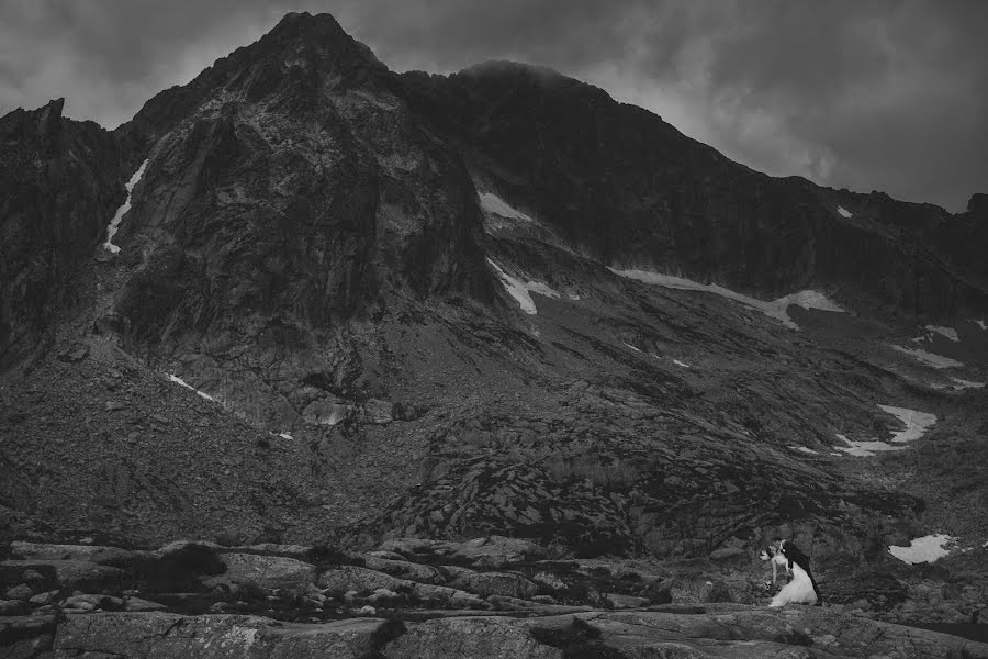 Fotógrafo de casamento Grey Mount (greymountphoto). Foto de 4 de agosto 2017