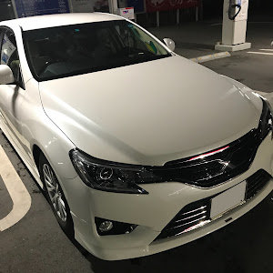 マークX GRX133