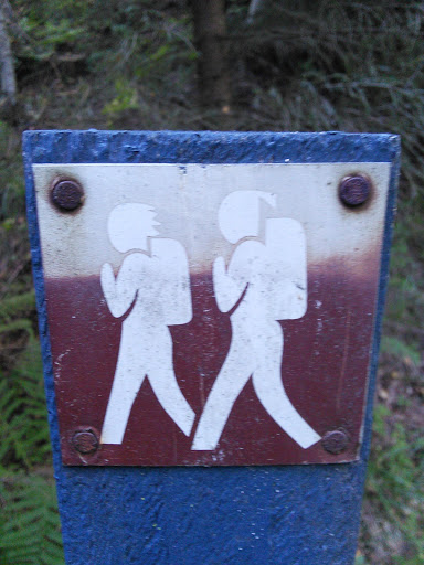 Hikers