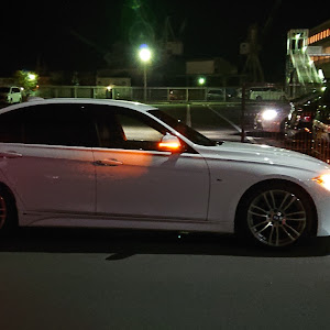 320i M Sport (F30)