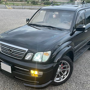 北米　レクサス　純正　LX470 ランドクルーザー　ランクル　シグナス　100