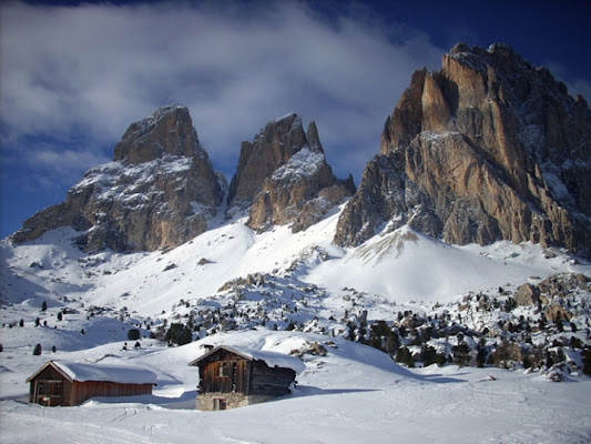 Malga in inverno di ALE812311