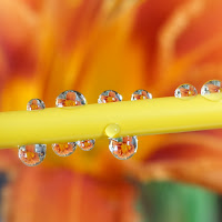 Acqua in gocce di 