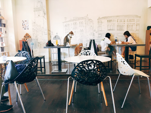 貓咪很可愛，環境很不錯，但餐點口味需要再加強～