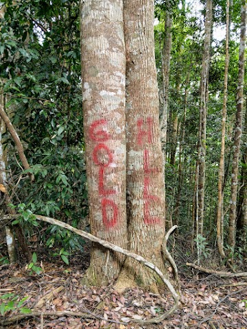 Bukit Kutu via Ampang Pecah Old Colonial Route Gold Hill