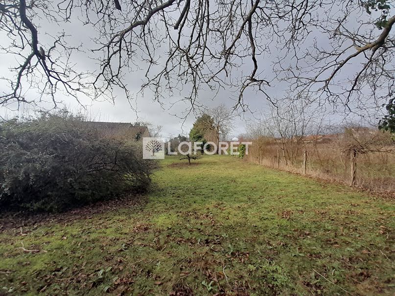 Vente terrain  1287 m² à La Grande-Paroisse (77130), 133 500 €