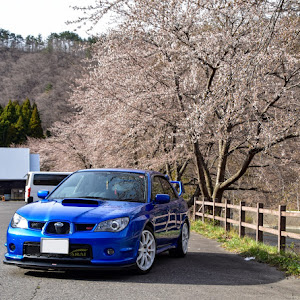 インプレッサ WRX STI GDB