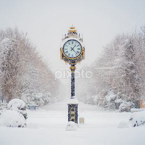 Time for snow by Baltă Mihai - City,  Street & Park City Parks