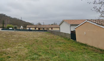 terrain à Mauzac (31)