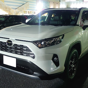 RAV4 MXAA54