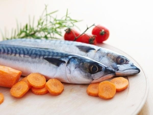 Candida Diet Pubmed: to best food processors in indi best brnds...