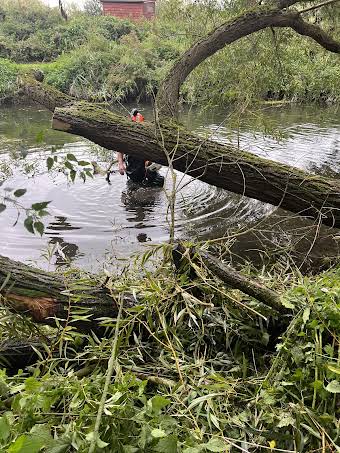 Fallen tree across the river stour  album cover