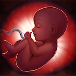 Cover Image of Unduh Obat Jantung - Game Dokter 31.0.84 APK