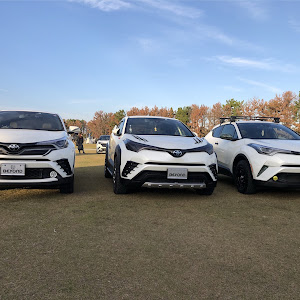 C-HR NGX50