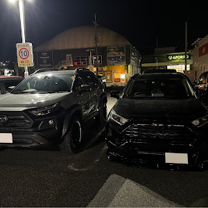 RAV4 AXAH54