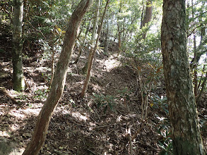 右手に踏み跡