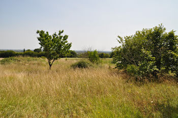 terrain à Les Fosses (79)