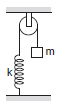 Spring-mass system