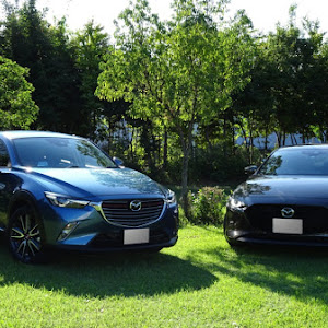 CX-3 DK5FW