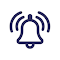 Item logo image for RingVPN