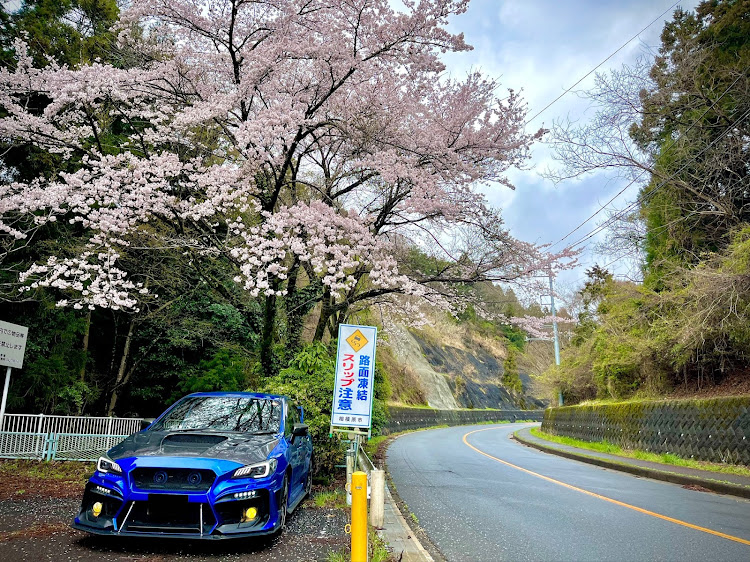 の投稿画像18枚目