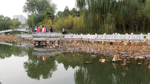 Bamboo Lake Beijing China 2015