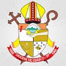 Diocese de Osasco icon