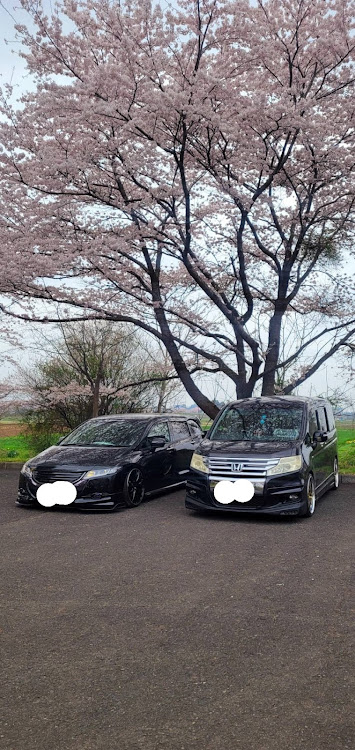 ステップワゴンスパーダの紫赤STYLE・🍆色ステップw同盟・輪止めビビリーズ・金ホイル・桜と仲間😁に関するカスタム事例の投稿画像4枚目