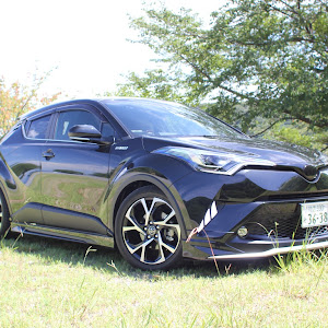 C-HR ZYX10