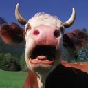 Cow: The Gentle and Valuable Farm Animal
