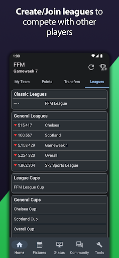 Screenshot Fantasy Football Manager Pro