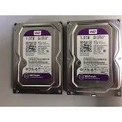 Ổ Cứng Hdd 1Tb Western Purple (Màu Tím) Cho Camera Bảo Hành 24 Tháng