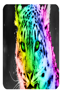Graphic Design - náhled