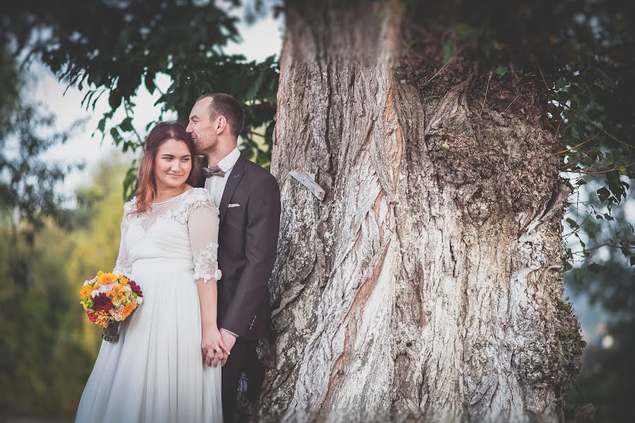 Wedding photographer Diana Cherecheș (dianachereches). Photo of 12 April 2016