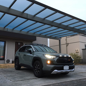 RAV4 MXAA54