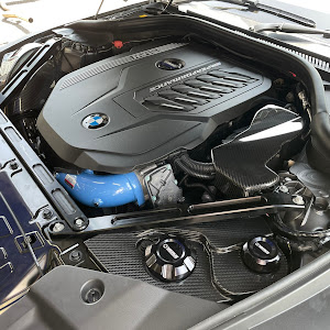 Z4 ロードスター G29