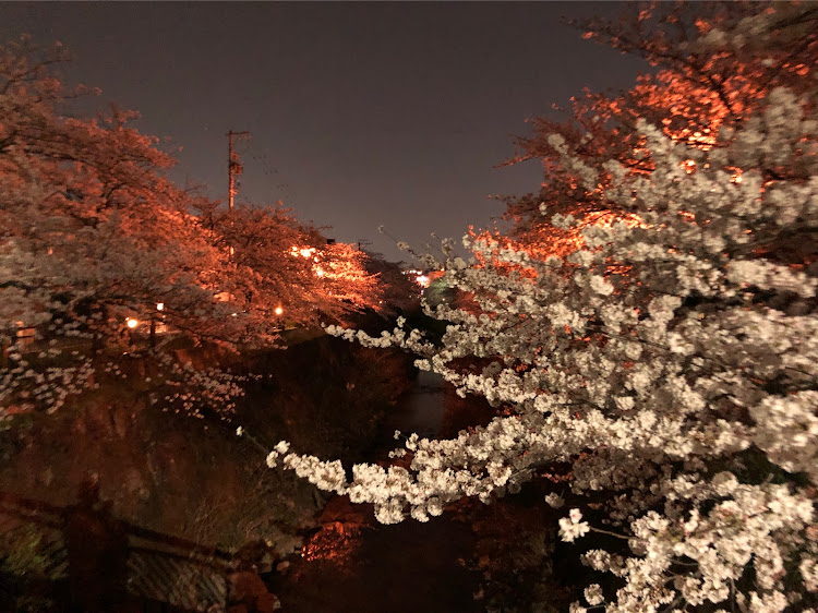 147の軽量化に関するカスタム事例の投稿画像14枚目