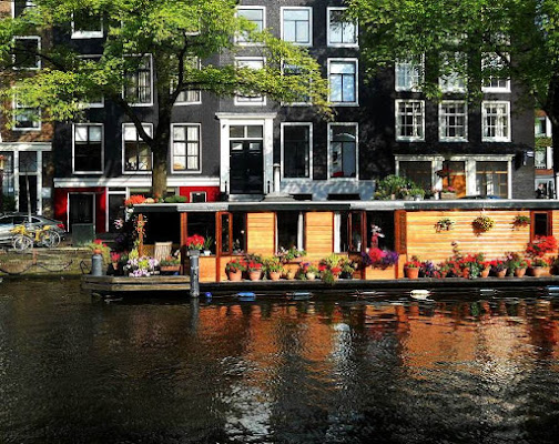 L'estate di Amsterdam di Rossella Valitutti