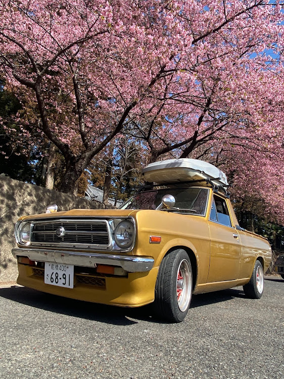 サニートラックの桜とコラボ🌸・癒しスポットに関するカスタム事例の投稿画像1枚目