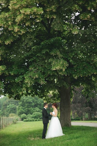 Wedding photographer Sweta Meininger (swetameininger). Photo of 7 March 2017