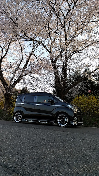 ムーヴの桜コラボ・サクラと愛車・スマホ画質クソ・セカンドカーに関するカスタム事例の投稿画像4枚目