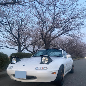 ロードスター NA8C